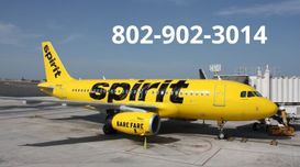¿Cómo llamar a Spirit Airlines desd...