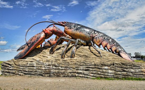 lobsters don’t die of old age