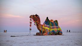 Best Places to Visit in Kutch Rann ...