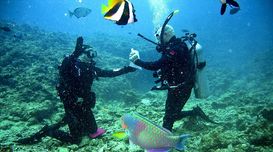 Best places for scuba diving in Ind...