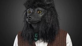 Come to Buy Black Poodle Masks Hall...