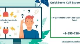 Fix QuickBooks Error Code OLSU 1013...
