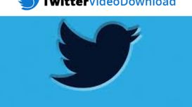 How Do I Download Videos from Twitt...