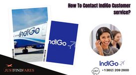 How To Contact IndiGo Customer serv...