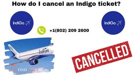 How do I cancel an Indigo ticket?  