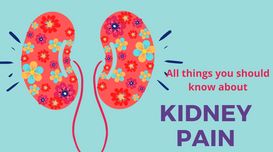 Kidney Pain: Causes, Diagnosis, and...