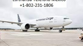 Lufthansa Telefono Mexico          