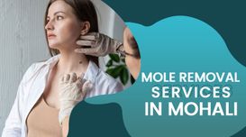 Mole removal services in Mohali: Op...