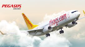 Pegasus airlines change name on tic...