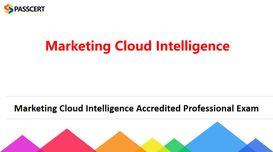 Salesforce Marketing Cloud Intellig...