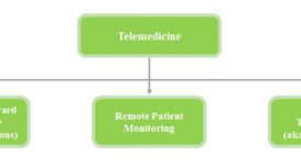 THE REMOTE PATIENT MONITORING MARKE...