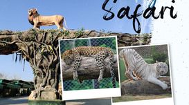 Visit the Jungle Safari at the Stat...